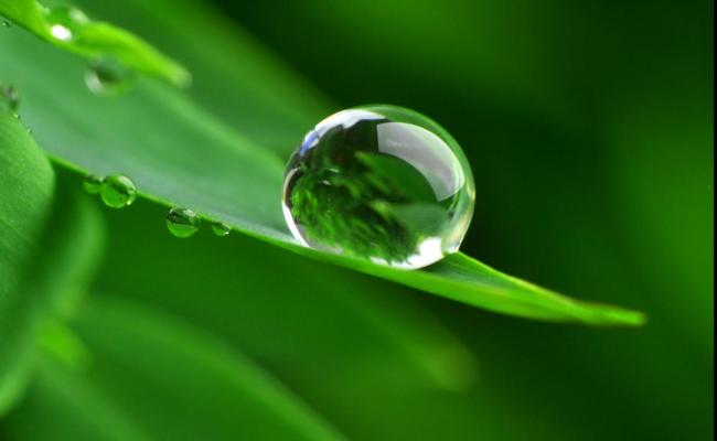 Tautropfen----Stefan-Koerber---Fotolia.com__COPY__27